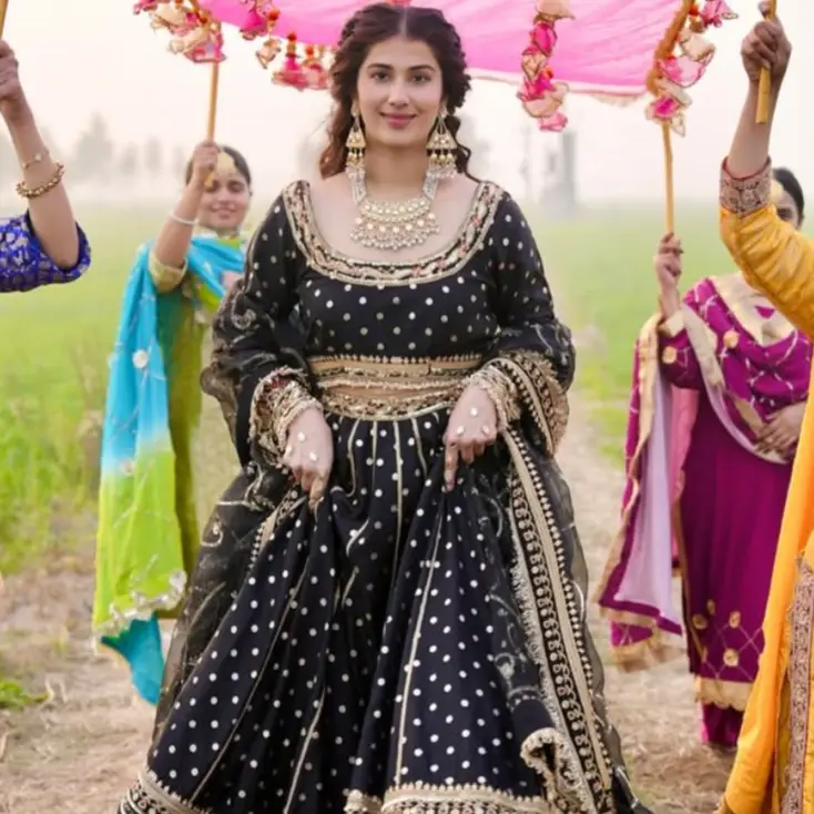 Description of the pic