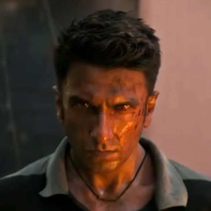 Description of the pic