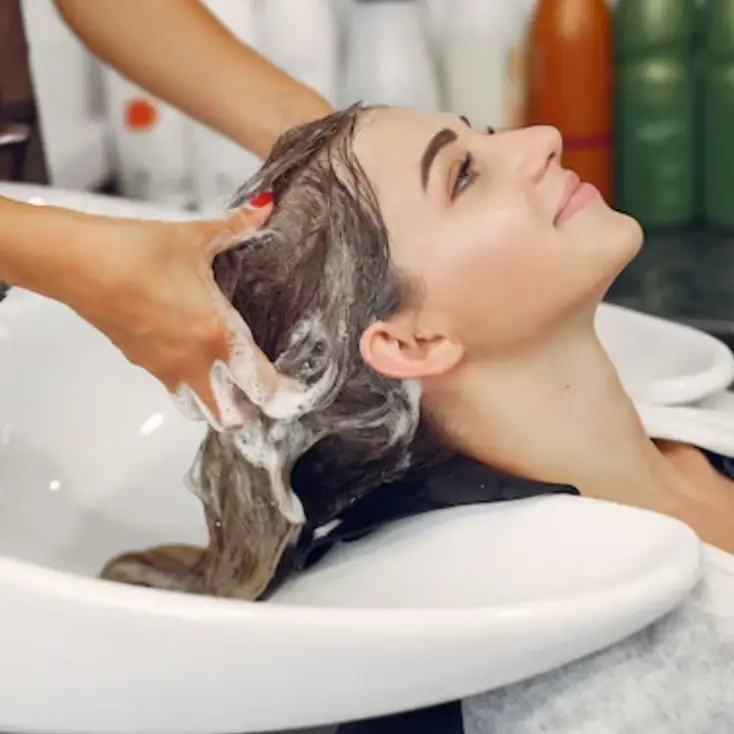 Description of the pic