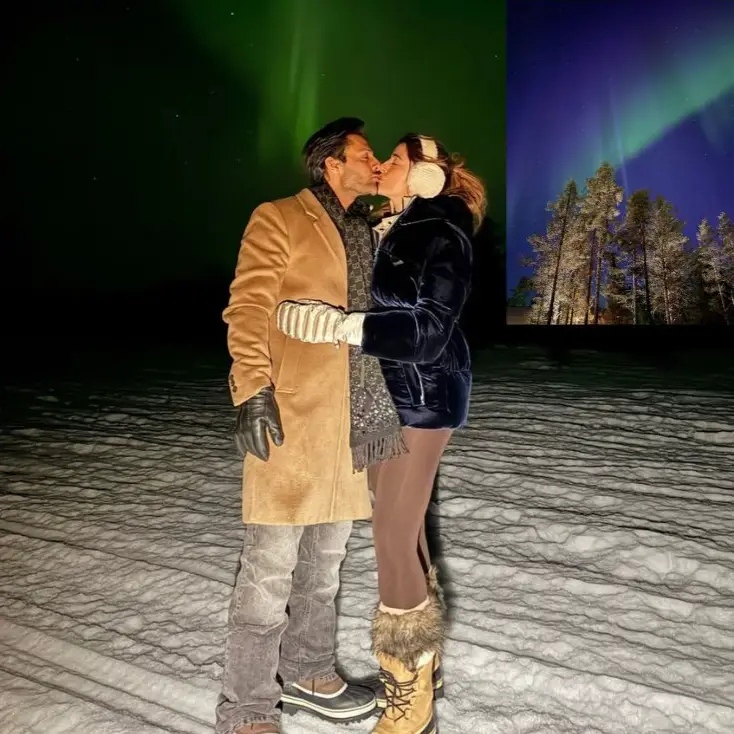 Description of the pic