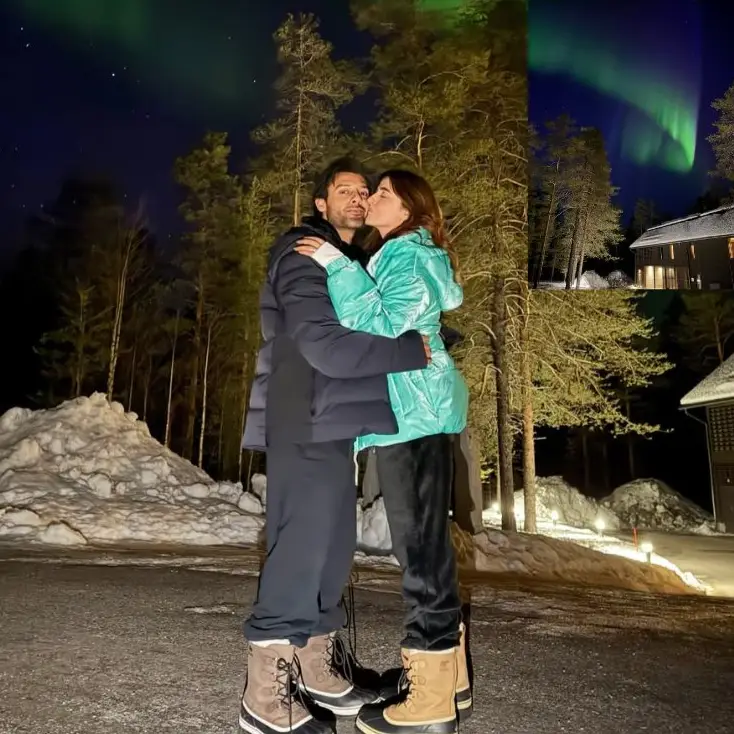 Description of the pic