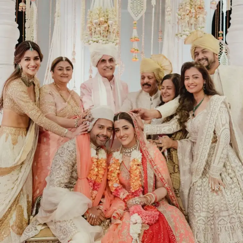 Description of the pic