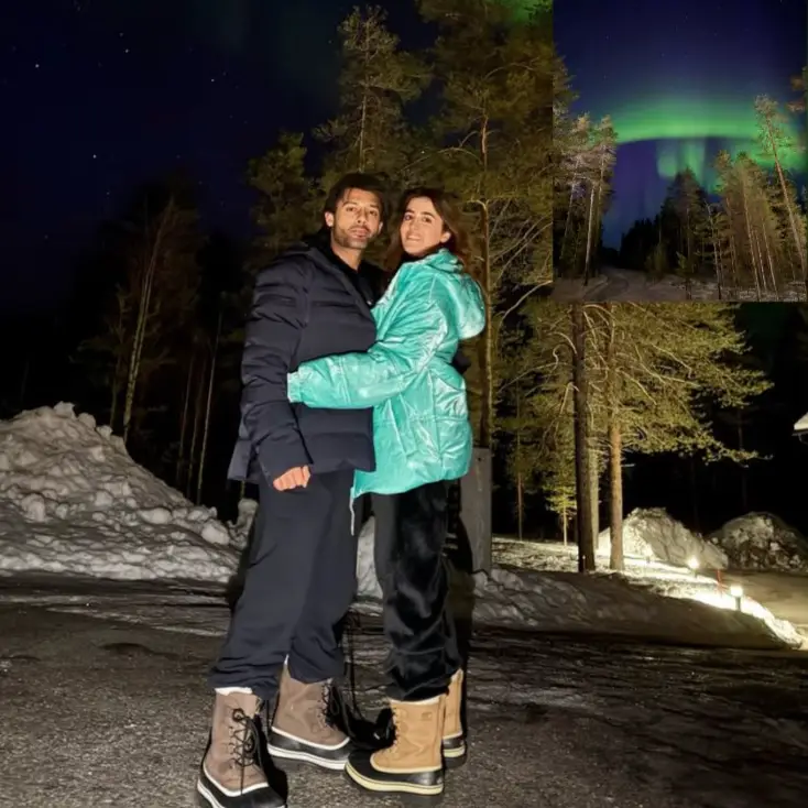 Description of the pic