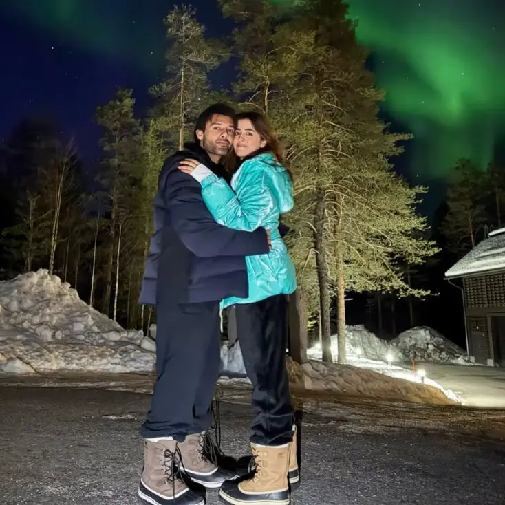 Description of the pic