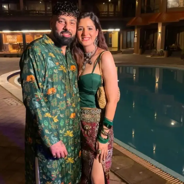 Description of the pic