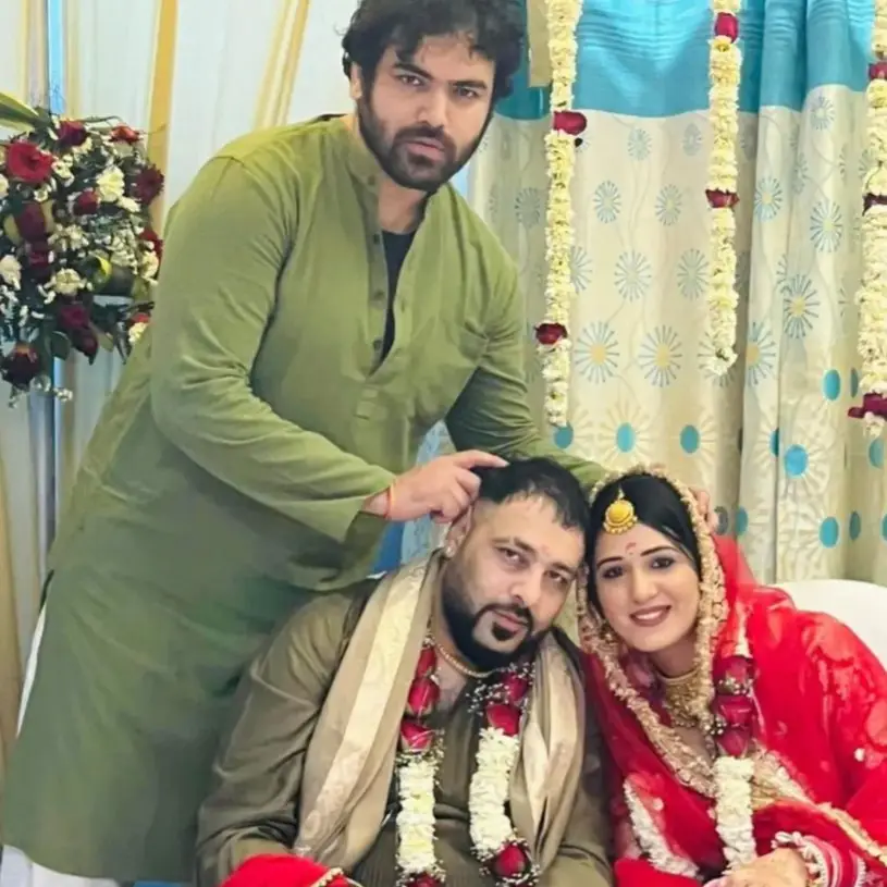 Description of the pic