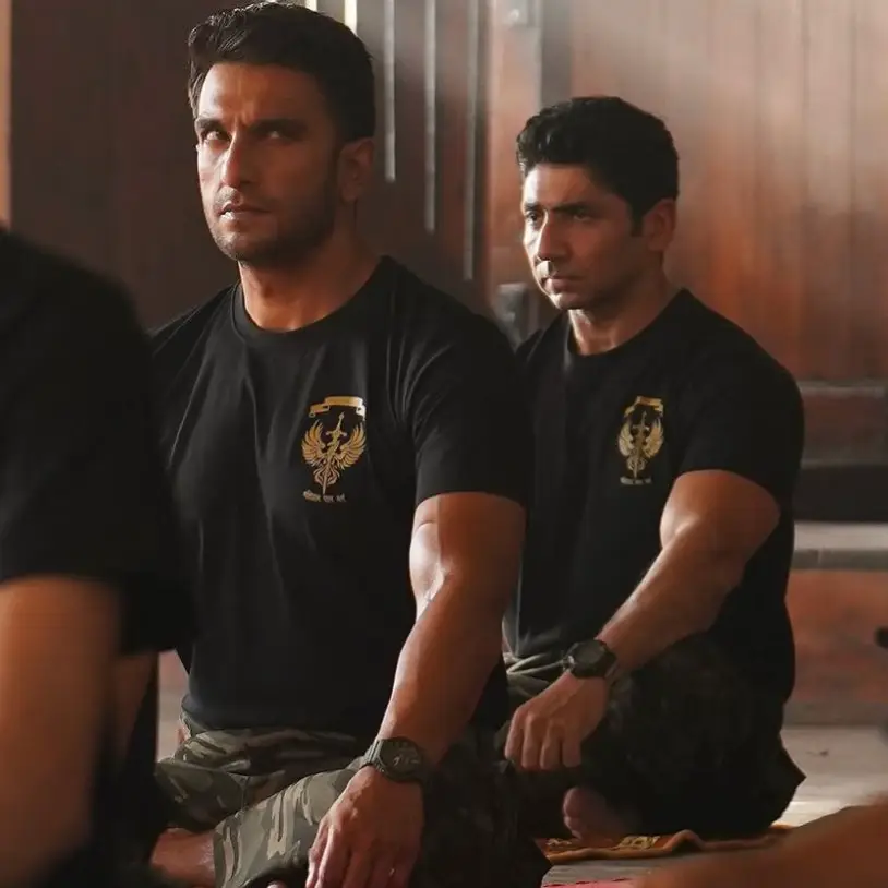 Description of the pic