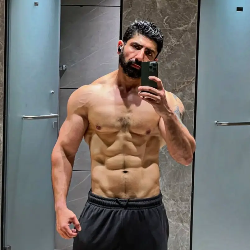 Description of the pic