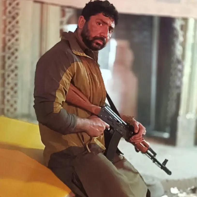 Description of the pic