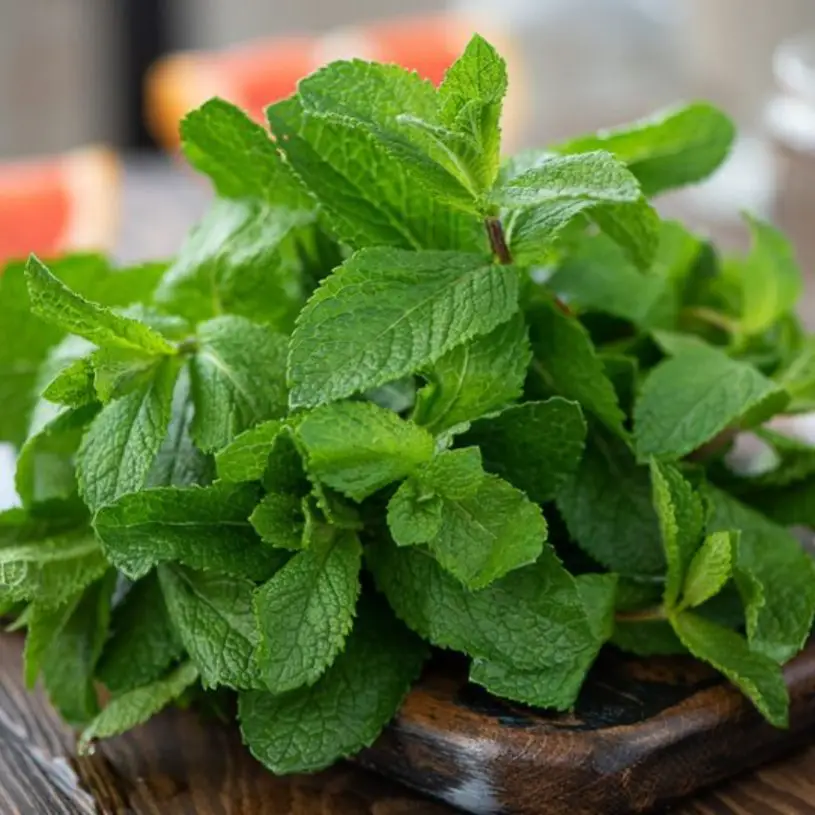 Description of the pic