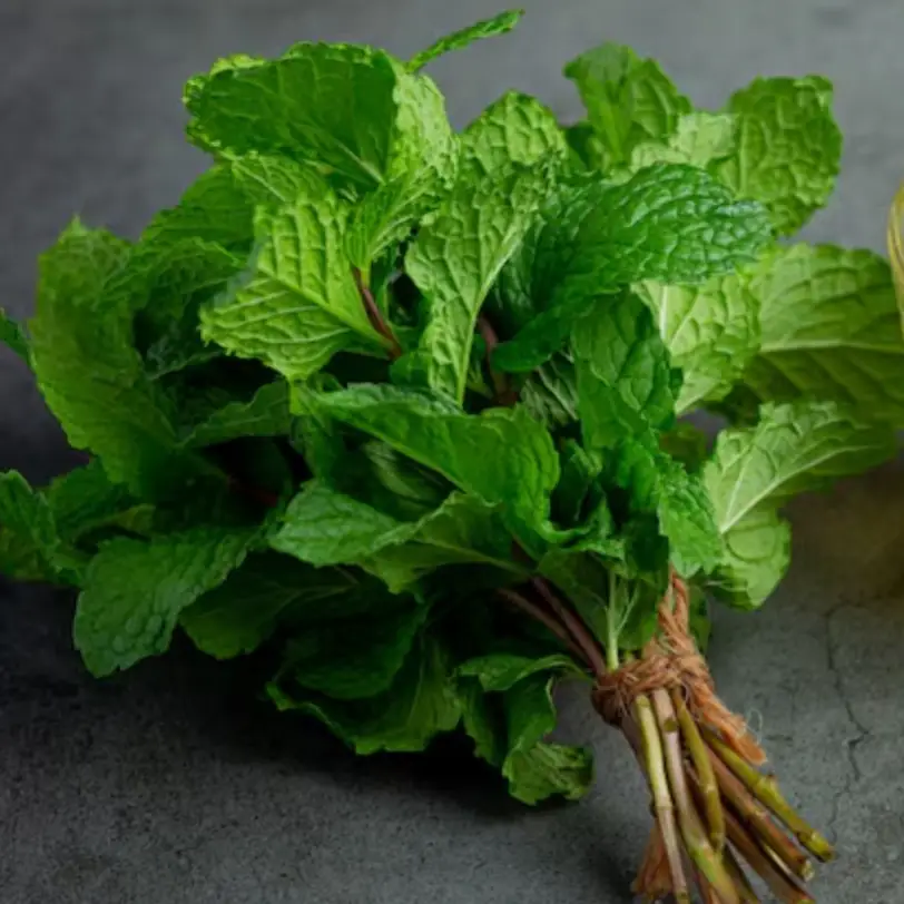 Description of the pic