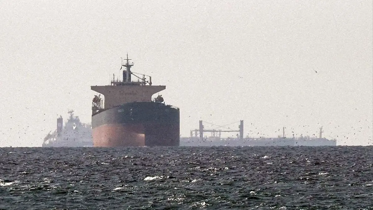 20 Indian-Flagged Ships Carrying 540 Seafarers Remain in Persian Gulf: Govt 20 Indian-Flagged Ships Carrying 540 Seafarers Remain in Persian Gulf: Govt