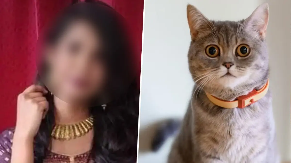 23-Year-Old Doctor Commits Suicide After Family Objects to Pet Cat in Hyderabad 23-Year-Old Doctor Commits Suicide After Family Objects to Pet Cat in Hyderabad