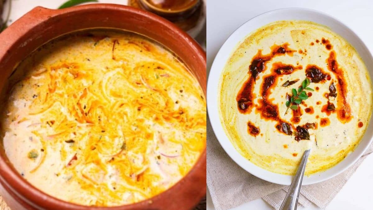 5 minute dahi tadka recipe in summer for healthy diet tips tasty spicy curd recipe