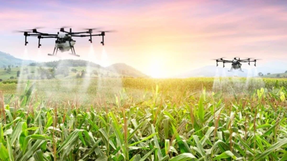 Agricultural Technology & Innovation: Transforming Modern Farming