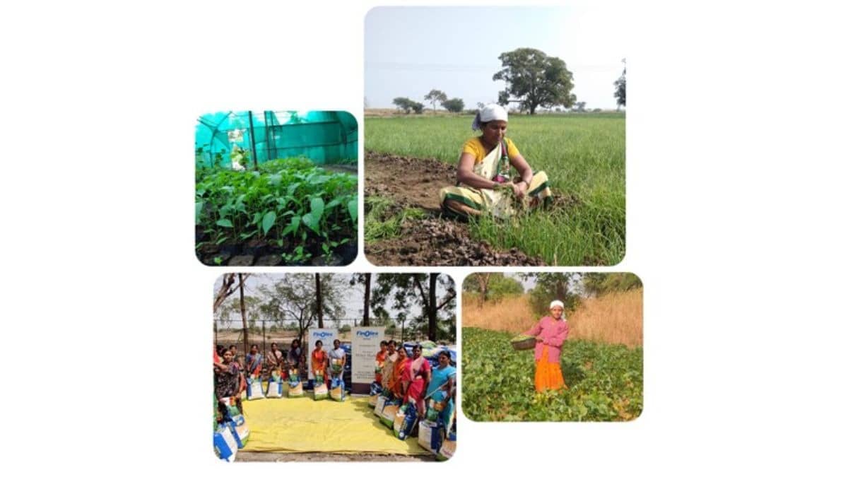 Agriculture, Herbal Farming & Rural Development: Driving Sustainable Growth 
