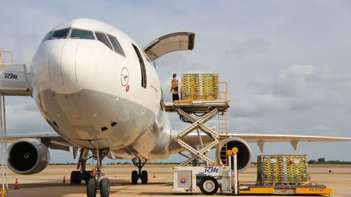 Air Freight Rates Soar As Middle East Conflict Blocks Trade Routes Air Freight Rates