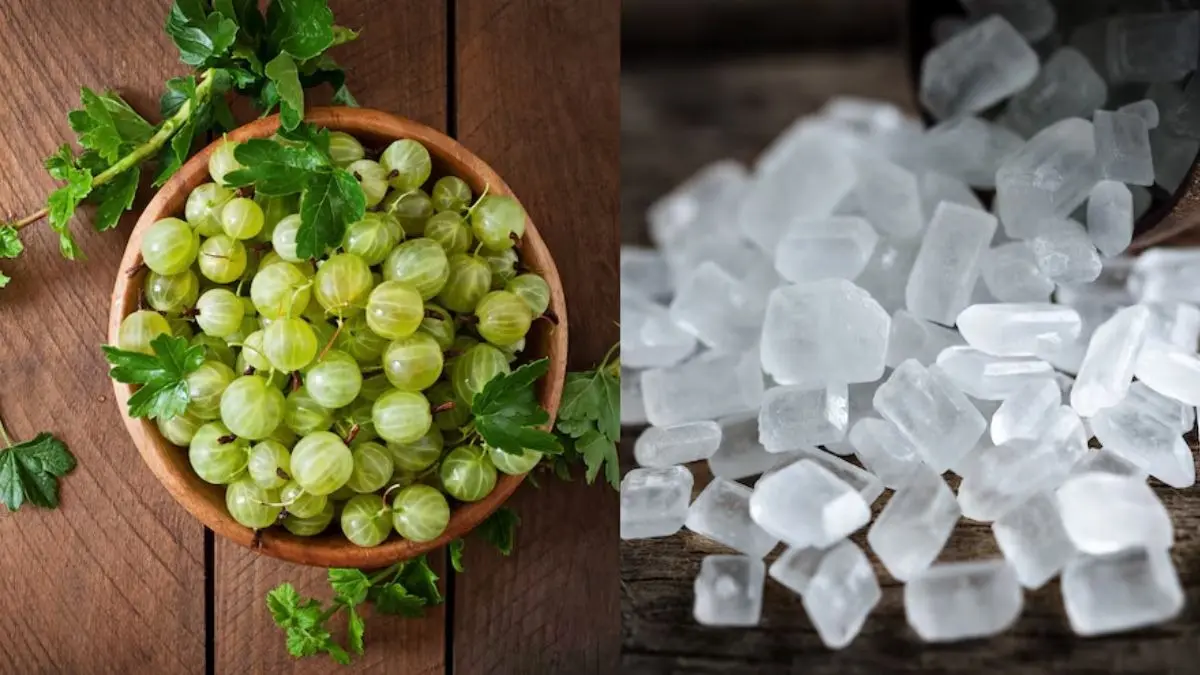 Amla Mishri Benefits: आंवले के साथ मिश्री खाने से सेहत को हो सकते हैं ये खास फायदे, जानें कैसा और कब खाना है Amla Mishri Benefits