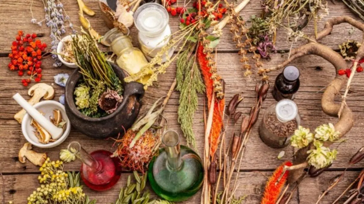 Best Natural Herbs to Support Hormonal Balance and Hair Growth Best Natural Herbs to Support Hormonal Balance and Hair Growth