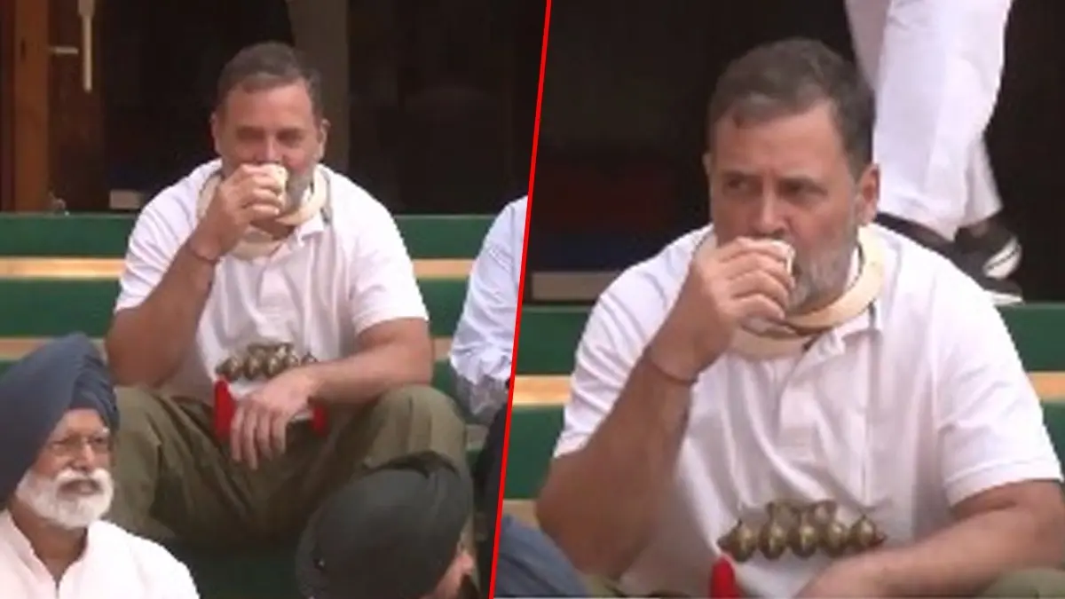 Chai, Pakoras at Parliament: 204 Retired Officers Seek LoP Rahul Gandhi's Apology Over 'Undermining Decorum' Chai, Biscuit at Parliament: 204 Retired Officers Seek LoP Rahul Gandhi's Apology Over 'Undermining Decorum'