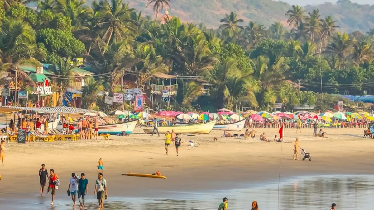 Corporate Tourism Clashes With Agricultural Heritage In North Goa Corporate Tourism Clashes With Agricultural Heritage In North Goa