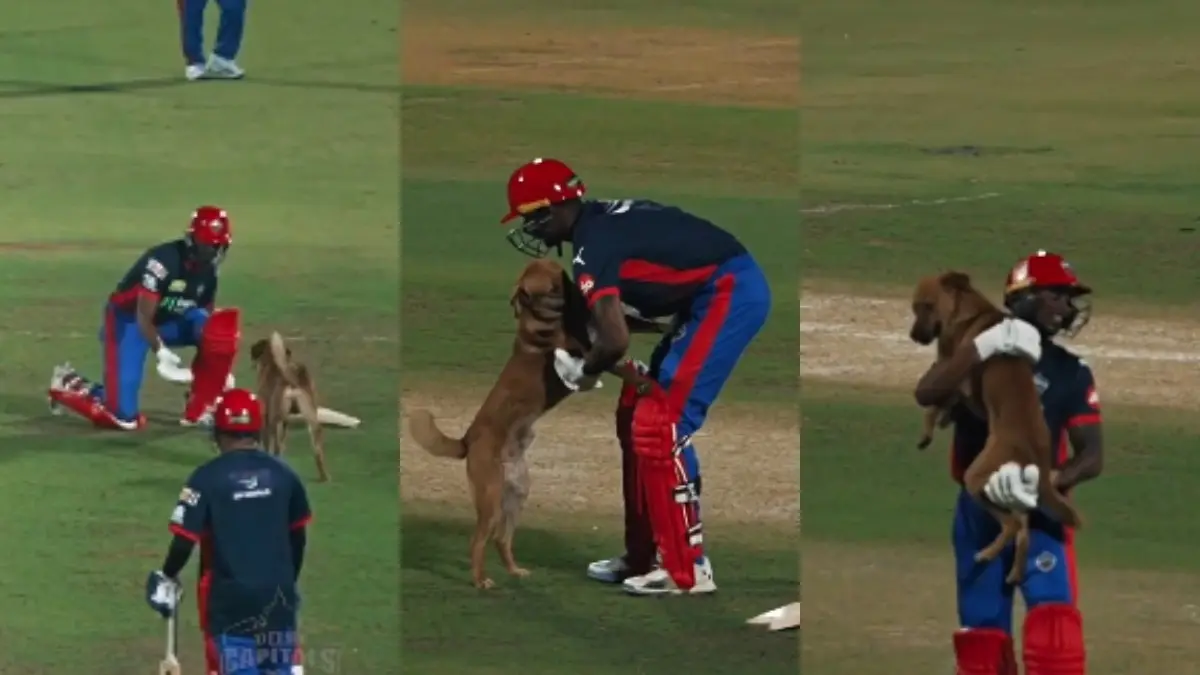 WATCH | DC Player's Mid-Pitch Dog Cuddle Wins Hearts Ahead of IPL 2026; Video Goes Viral Delhi Capitals