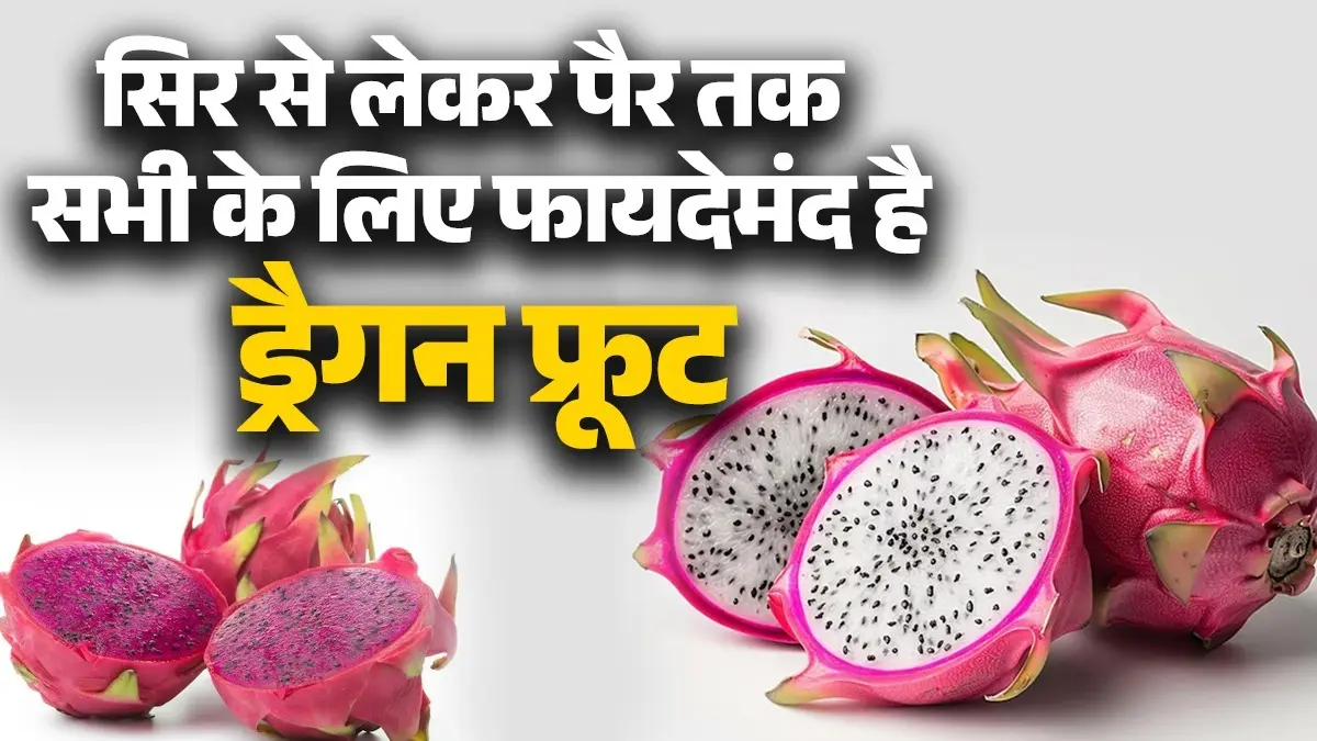Dragon Fruit Benefits: कैंसर से सुरक्षा, शुगर कंट्रोल... ड्रैगन फ्रूट खाने के 10 बड़े फायदे क्या हैं? Dragon Fruit Benefits