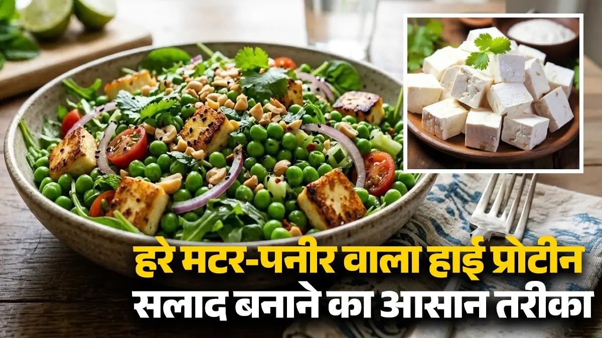 Paneer Salad Recipe: मिनटों में बनाएं हरे मटर और पनीर वाला हाई प्रोटीन सलाद, वेट लॉस के लिए है परफेक्ट स्नैक रेसिपी green peas paneer salad matar high protein snack recipe for weight loss healthy diet tips