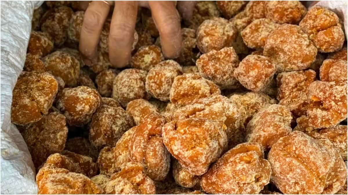 Gud or jaggery is used as a substitute for sugar in Indian households