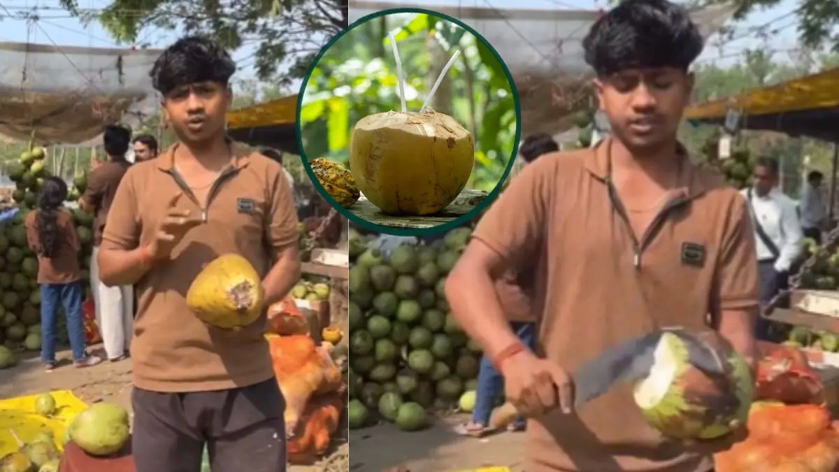 नारियल में पानी है या नहीं? वायरल वीडियो में फल वाले ने बताया पहचानने का 'सीक्रेट' तरीका - VIDEO -how-to-choose-water-filled-coconut-buying-tips- viral-video