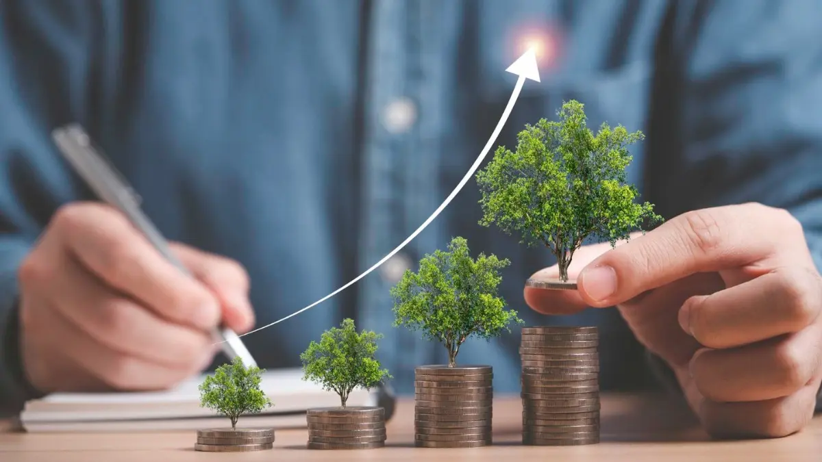 How to Get the Best Term Insurance Plan at Low Premiums How to Get the Best Term Insurance Plan at Low Premiums