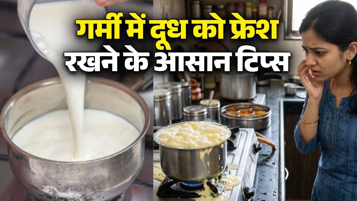how to prevent milk from spoiling and keep it fresh in summer for days know easy tricks 