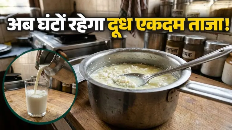 Milk Storage Tips: क्या गर्मी में बार-बार फट जाता है दूध? अपनाएं ये देसी जुगाड़, घंटों रहेगा एकदम ताजा how to store milk to keep fresh for hours milk storage tips doodh taja rakhne ke tips