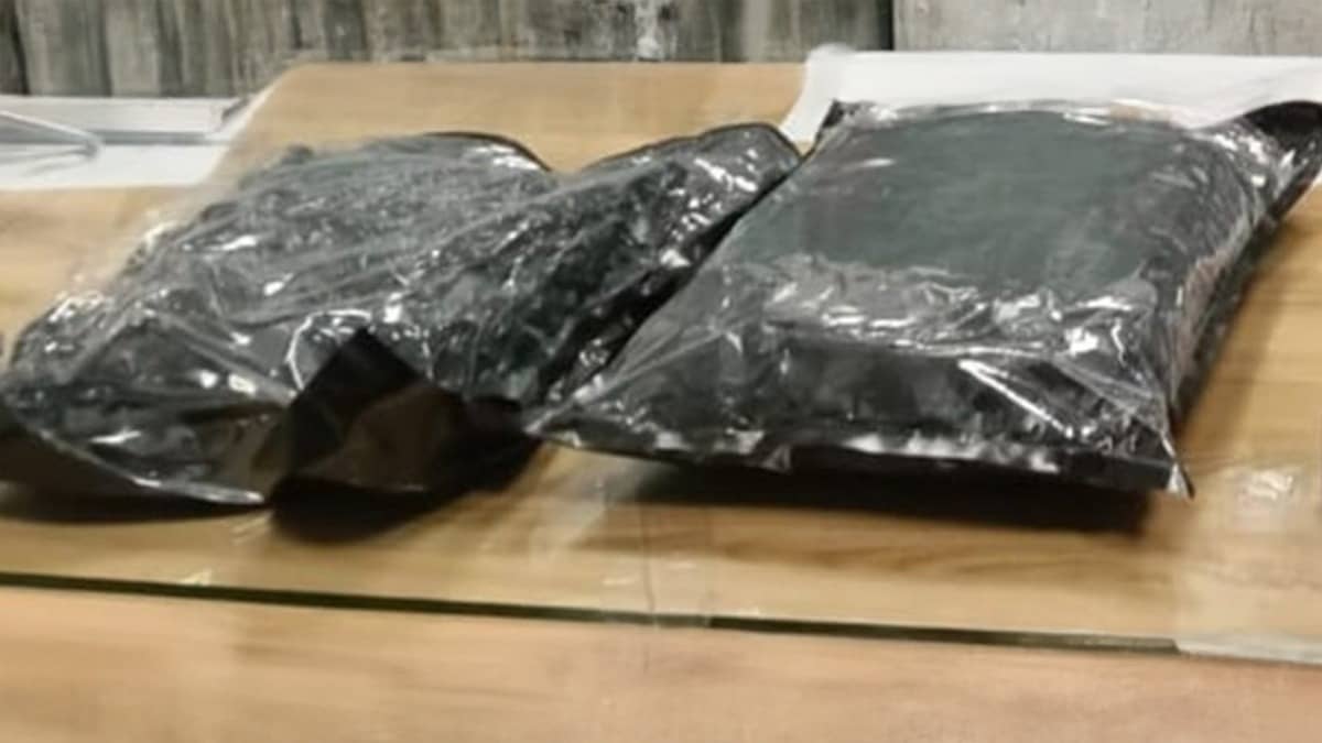 Hydroponic Marijuana Worth ₹26.8 Crore Seized at Pune Airport; One Arrested