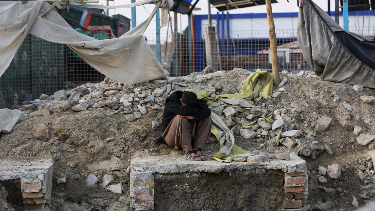 Description of the pic