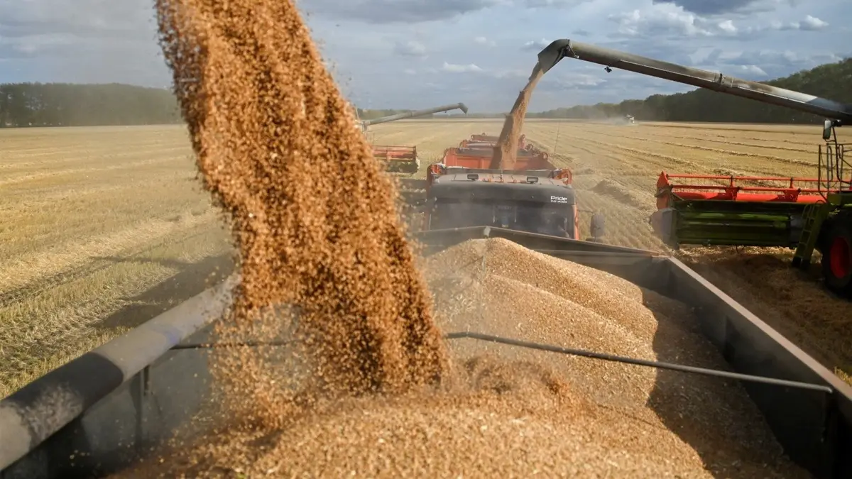 Sources Claim Russian Grain Sales to Iran Stalled After US Attacks Image for representational purposes only