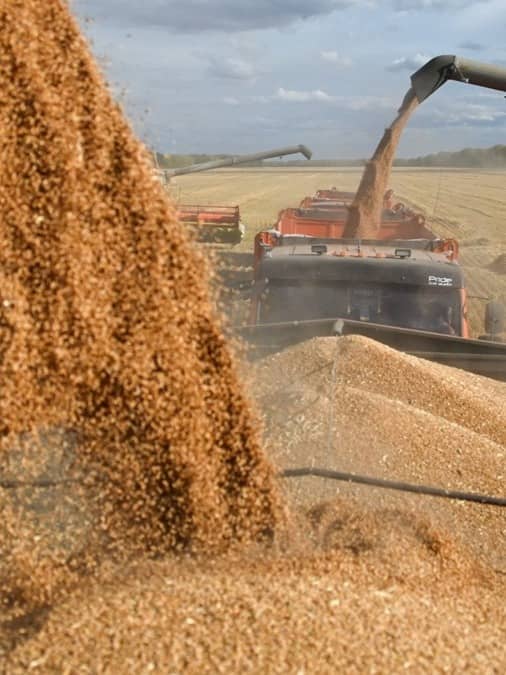 Image for representational purposes only