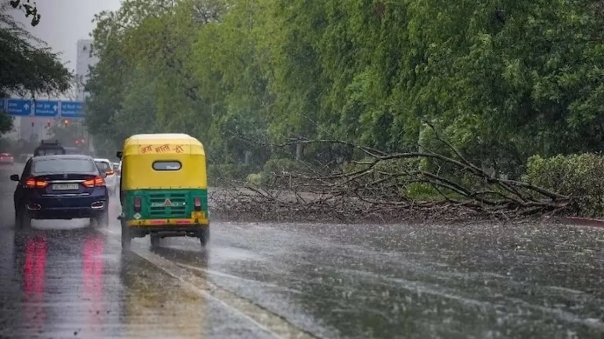 IMD Weather Alert: Heavy Rain in Northeast, Thunderstorms & Hail Likely Across Delhi, UP, Punjab & More States IMD Weather Alert: Heavy Rain in Northeast, Thunderstorms & Hail Likely Across Delhi, UP, Punjab & More States