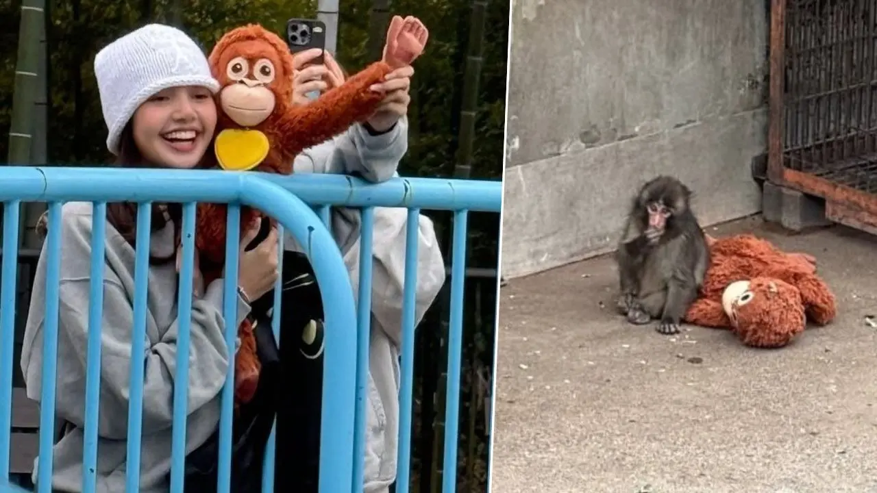 In Pics: BLACKPINK LISA Visits Viral Monkey Punch In Japan, Touching Moments Win The Internet In Pics: BLACKPINK LISA Visits Viral Monkey Punch In Japan, Touching Moments Win The Internet