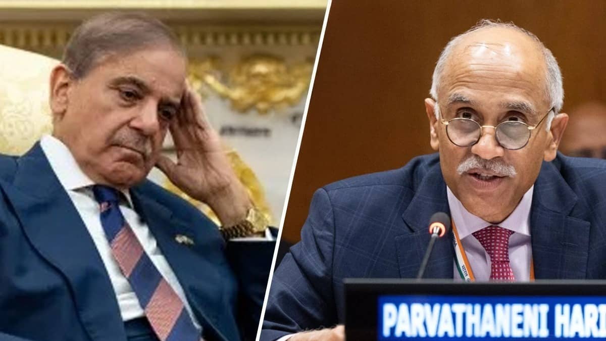 'इस्लामोफोबिया के नाम पर नरसंहार और अत्याचार...', UN में भारत ने पाकिस्तान को जमकर लताड़ा, जानिए क्या-क्या कहा, VIDEO