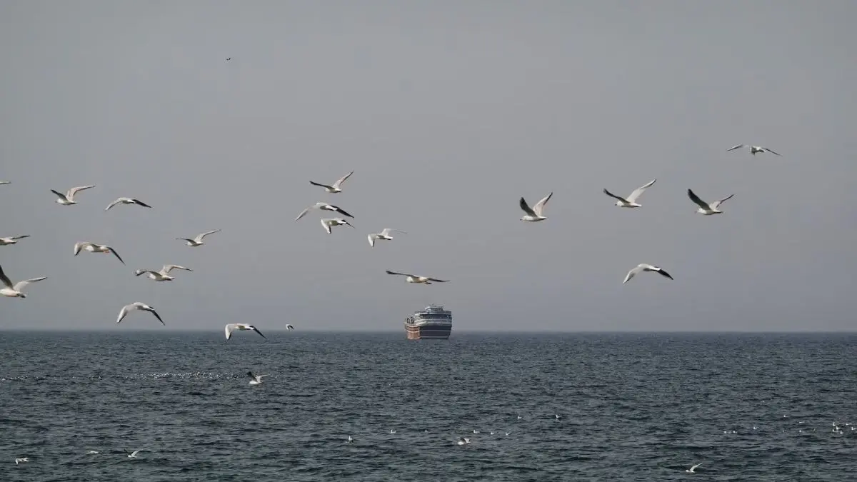 Global Oil and Gas Shipping Costs Surge as Iran Vows to Close Strait of Hormuz Iran's blockade of the Strait of Hormuz halts 20% of global oil