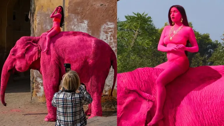 पिंक सिटी में रशियन फोटोग्राफर ने खुद के साथ हाथी को भी कर दिया गुलाबी... तो सोशल मीडिया पर फूटा नेटिजंस का गुस्सा; VIDEO Jaipur elephant controversy