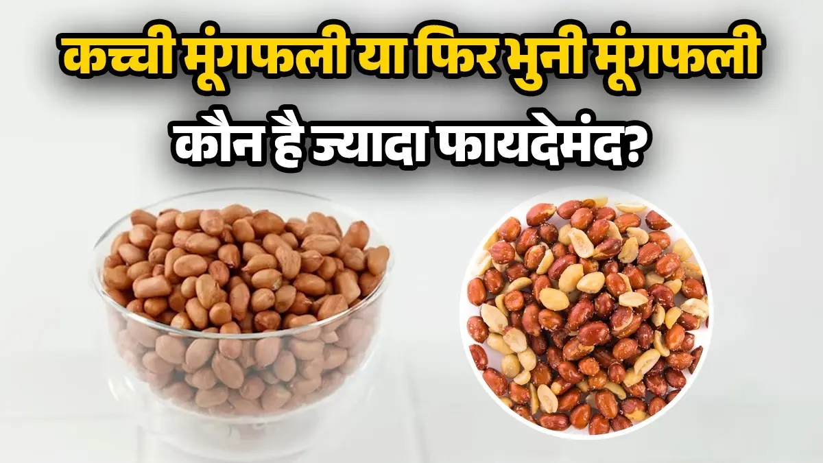 Kacchi Mungfali Vs Roasted Mungfali: कच्ची मूंगफली या फिर भुनी मूंगफली... वजन, डायबिटीज और डाइजेशन के लिए कौन है ज्यादा फायदेमंद? Kacchi Mungfali Vs Roasted Mungfali