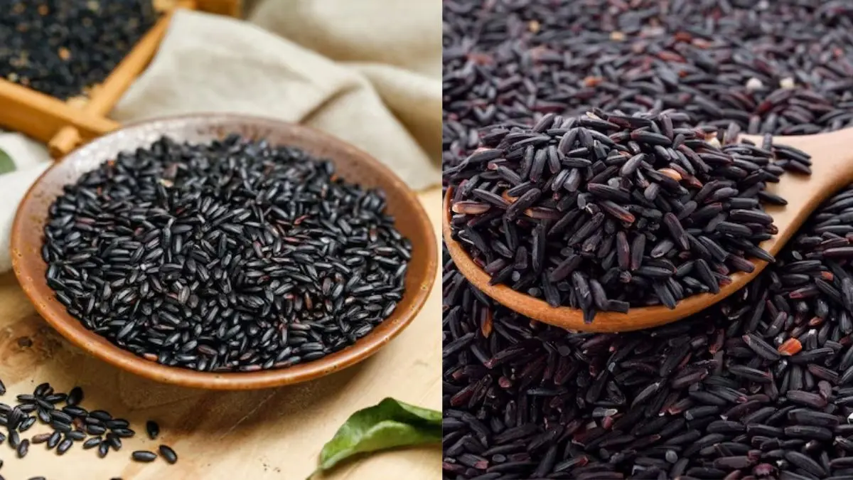 Kala Namak Rice: क्या है काला नमक चावल? जो देश में ₹300 तो विदेशों में ₹1500 प्रति किलो तक बिकता है, जानिए इसकी खासियत Kala Namak Rice