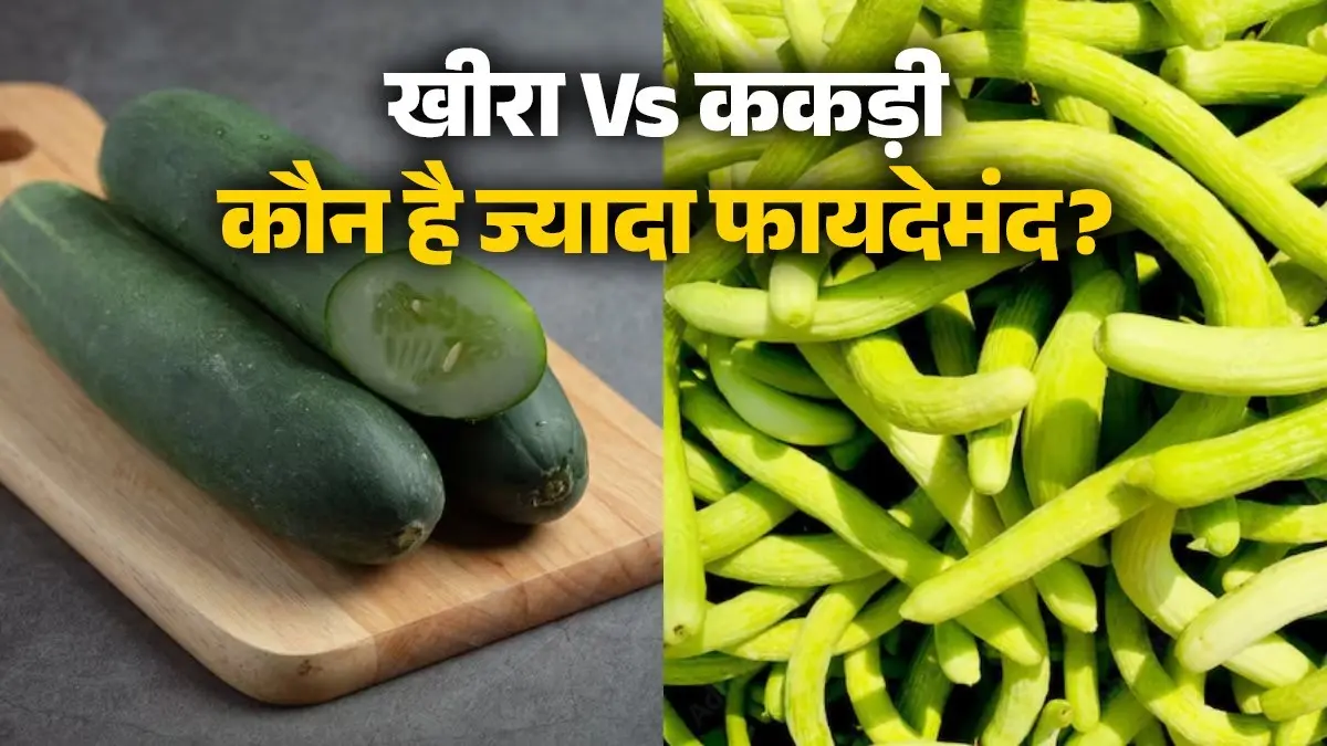 Kheera Vs Kakdi: खीरा या ककड़ी...गर्मी में सेहत के लिए कौन है ज्यादा फायदेमंद? Kheera Vs Kakdi
