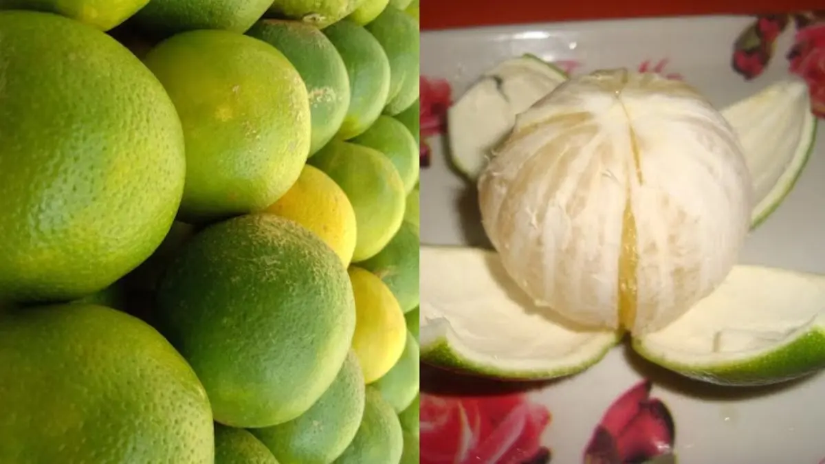 Mausam Peel Use: कचरा समझकर न फेंकें मौसंबी के छिलके, घर और स्किन के लिए हैं बड़े काम की चीज Mausam Peel Use