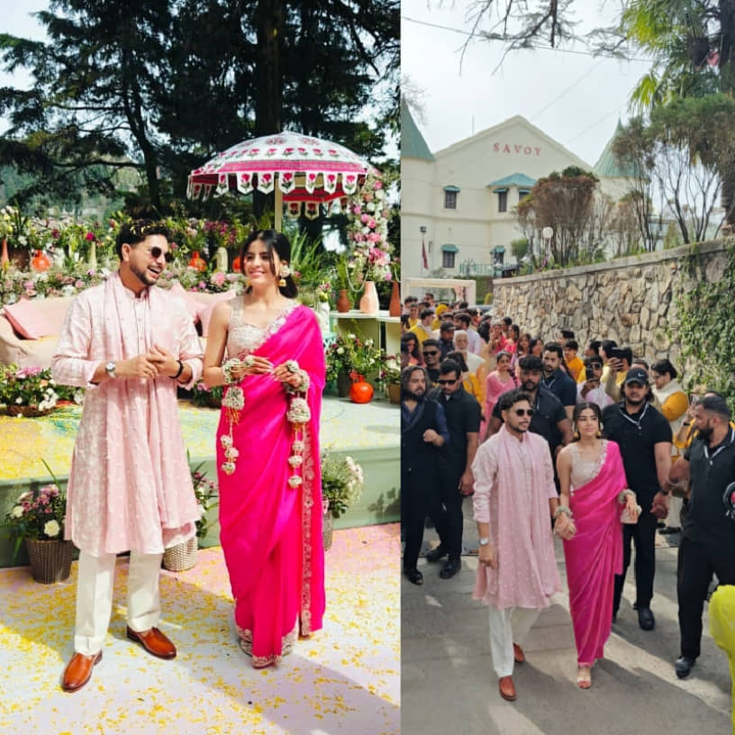 Description of the pic