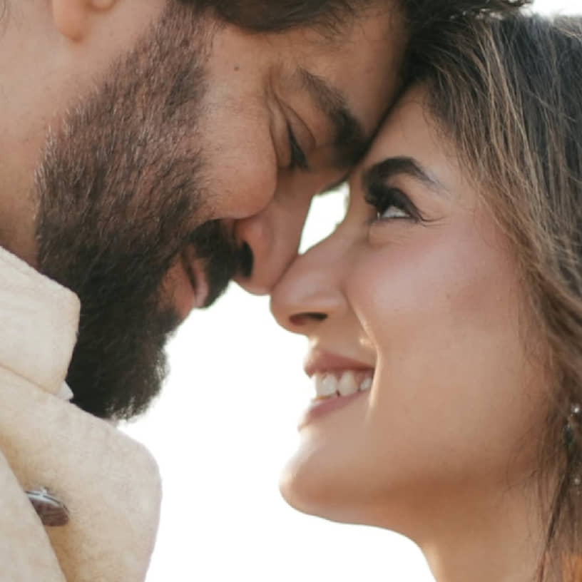 Description of the pic