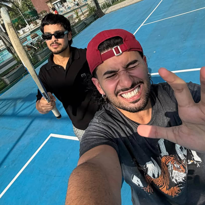 Description of the pic