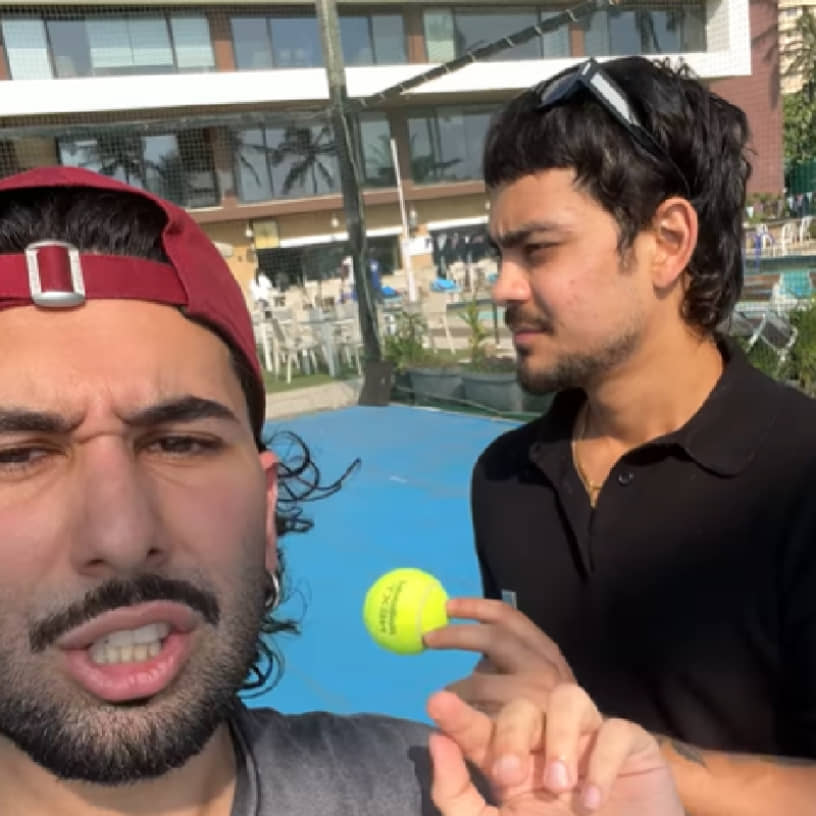 Description of the pic